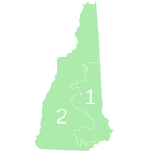 New Hampshire Democratic presidential primary election results by congressional district (vote share), 2020.svg