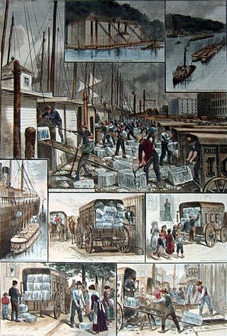 <span class="mw-page-title-main">Ice trade</span> 19th century industry