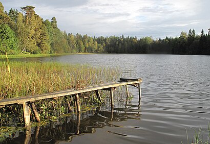 Kuidas ühistranspordiga sihtpunkti Nikerjärve jõuda - kohast