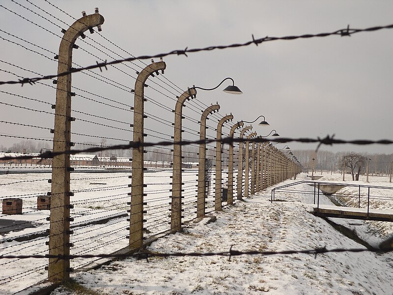 File:Ogrodzenie Auschwitz - Birkenau.jpg