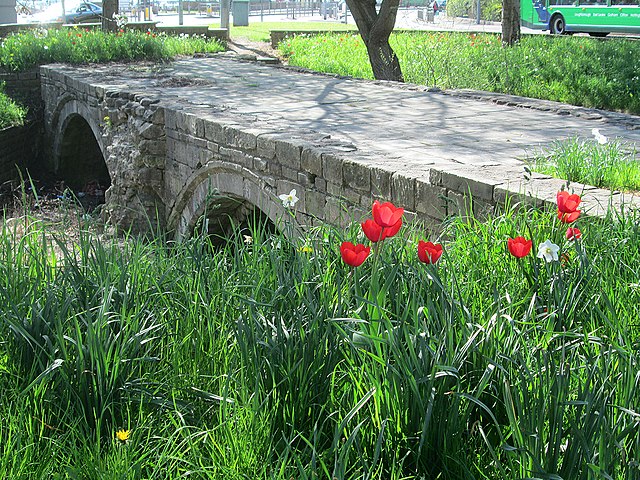 Two arches from the old bridge are still preserved on the south bank of the river .