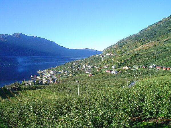 View of the Opedal area and all the surrounding orchards