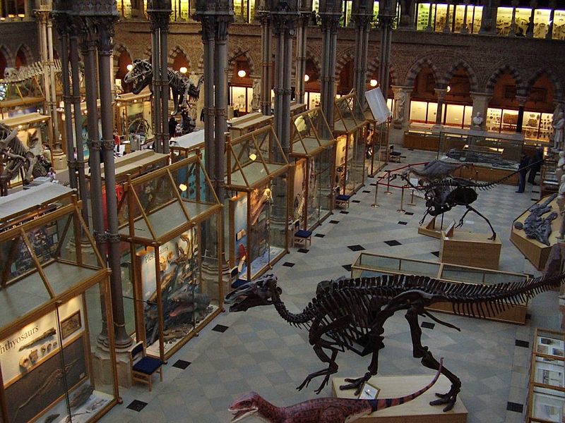 File:Oxford Natural History Museum01.JPG