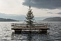 * Nomination Christmas tree at the western bay on Johannes-Brahms-Promenade, Pörtschach, Carinthia, Austria -- Johann Jaritz 03:44, 26 November 2021 (UTC) * Promotion  Support Good quality. --Augustgeyler 04:52, 26 November 2021 (UTC)