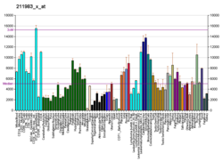 PBB GE ACTG1 211983 x at fs.png