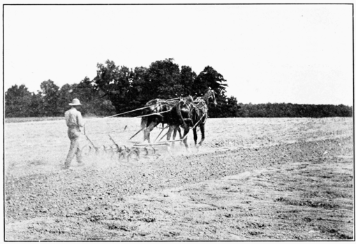 PSM V73 D411 Third year preparing the field for wheat.png