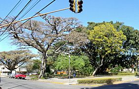 Park Beneméritos (Mª Aux.).