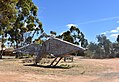 English: The Big Mallee Fowl at Patchewollock, Victoria