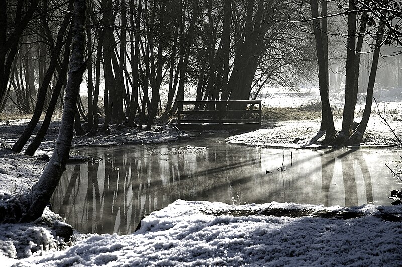 File:Paysage d' hiver dans le Valjouffrey.jpg