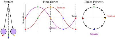 Illustration of how a phase portrait would be constructed for the motion of a simple pendulum. Pendulum phase portrait illustration.svg