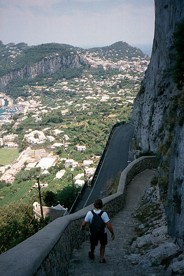 Fil:Phoenician_Steps_Capri.jpg