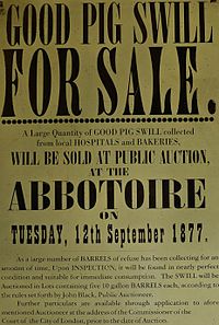 Poster for pig swill for auction sale, London, 1877 Pig swill auction poster.jpg