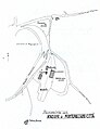 Planimetria della stazione di Montepulciano Città