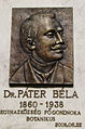 Béla Páter (hu), botaniste.