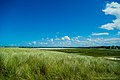 Le fond de la baie du Curnic.