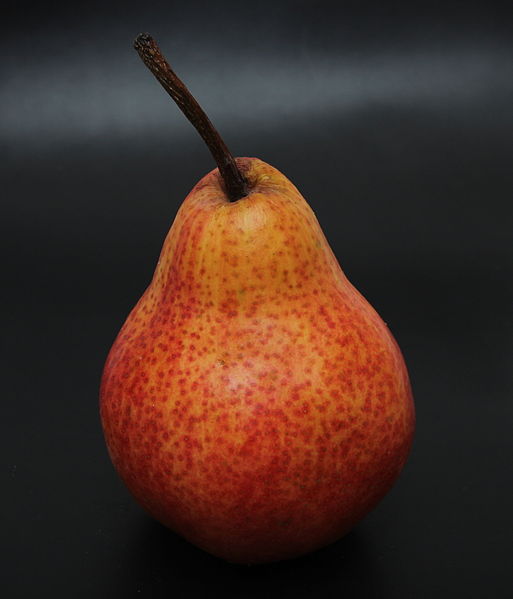 File:Poire Red Bartlett - 3.jpg