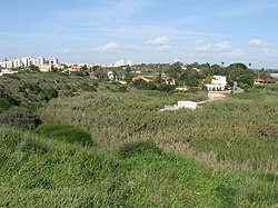 Pobřežní vegetace u obce Udim, v pozadí Netanja