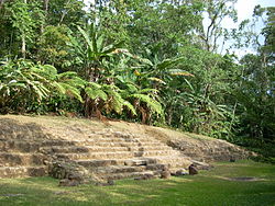 Eine niedrige Treppe, die nach links von einer flachen Grasfläche ansteigt.  Der obere Teil der Treppe ist von dichter tropischer Vegetation blockiert.