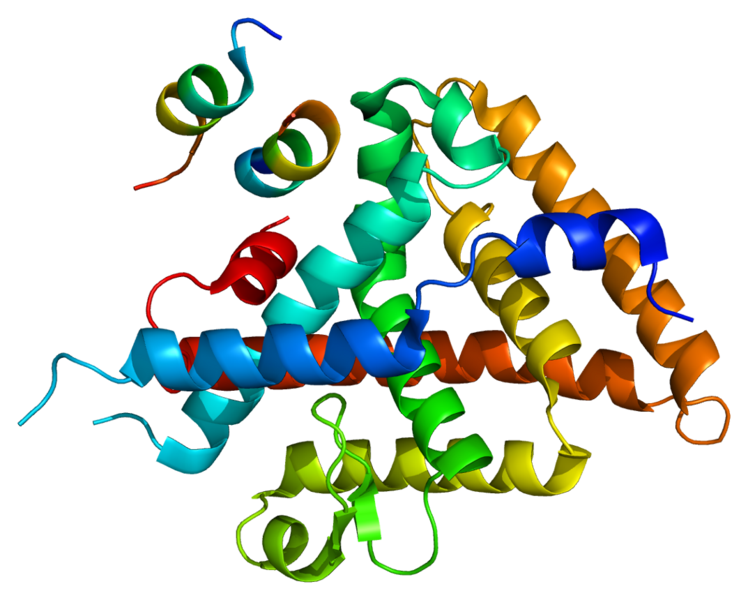 File:Protein NR5A2 PDB 1yok.png