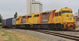 QRNational (Aurizon) WAGR classe L LZ3106 et LZ3103 -- Fremantle, février 2015.jpg