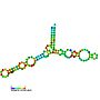 Thumbnail for 5S ribosomal RNA