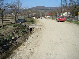 Câțcău - View