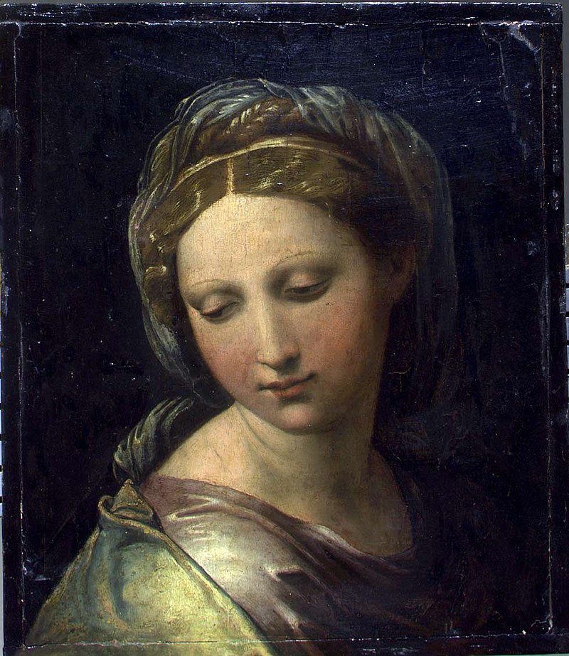 Raffaello Ritratto di donna.jpg