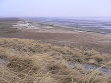 The Wadden Sea is a transboundary Ramsar site in Denmark, Germany and the Netherlands Ramsar transboundary Site Wadden Sea.jpg