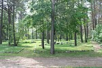 Ratnycia Jewish Cemetery 2016 (1).JPG