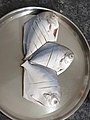 Raw Silver pomfret fish