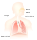 Respiratory system-de.svg