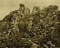 The rockery in 1897 showing the miniature plants