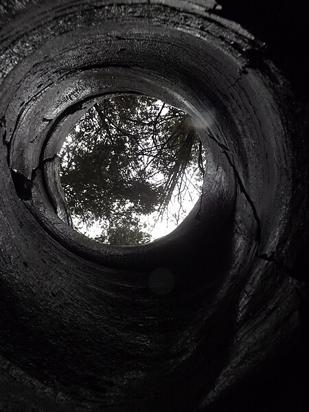 File:Rockmill or Kettle at Warsaw Caves, Ontario (10992370956).jpg