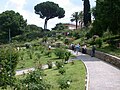 Roseto comunale, sulle pendici dell'Aventino verso il Circo Massimo