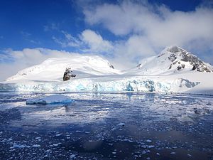 Ronge Island (16100202330).jpg