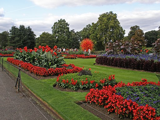 Royal Botanic Gardens, Kew (48648452416)
