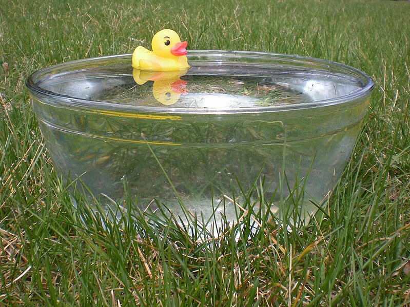 File:Rubber duck in glass bowl.jpg