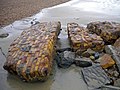 wikimedia_commons:1=File:Ruins of Martello Tower No 47, Bexhill (2).jpg