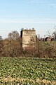 * Nomination Ruins of Tudorów Castle --Jakubhal 16:45, 23 March 2023 (UTC) * Promotion  Support Too much sky IMHO but ok --Poco a poco 18:39, 23 March 2023 (UTC)