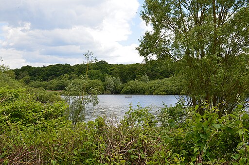 Ruislip Lido 1