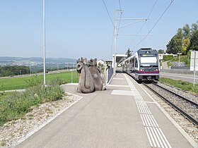 Stacidomo Widen Heinrüti