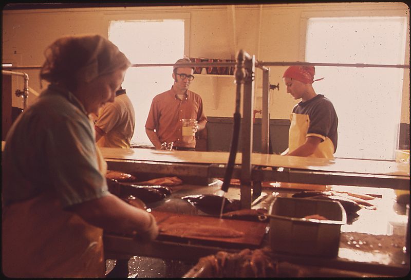 File:SEAFOOD PROCESSING PLANT - NARA - 545065.jpg