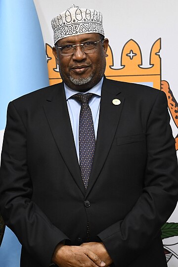 File:SRCC meets Speaker of the Federal Parliament of Somalia - 53072848469 (cropped).jpg