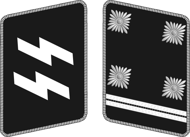 German Army Waffen elite  Gruppenfuhrer Collar T collar tabs ON Black background 