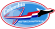 STS-4 patch.svg