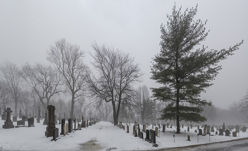 File:Saint-Charles Cemetery 005.jpg