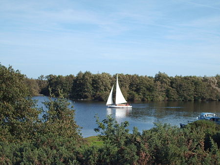 SalhouseBroad1