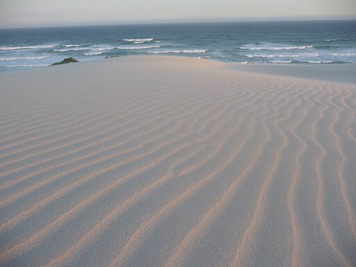 Sand dune ripples