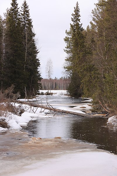 File:Sanginjoki Oulu 20170423 01.jpg