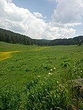 Thumbnail for Sarıkamış-Allahuekber Mountains National Park